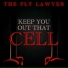 THE FLY LAWYER
