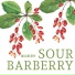 Milkberry