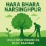 Nishi Dhamecha, Raju Rao