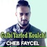 Cheb Faycel