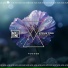 Steve Tosi