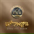 מקהלת מוזיקאליש, Dudi Kalish