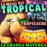 Grupo Tropicache