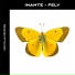 Inante