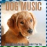 Brain Power Flow, Easy Sleep Music