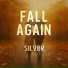 SILV8R