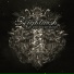 Nightwish(Endless Forms Most Beautiful)