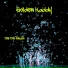 Golden Kaddy