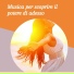 Meditazione Buddhista
