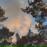 Ambluste