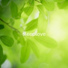 Sleeplove