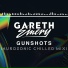 Gareth Emery, Aurosonic
