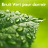 Vert de Fleur