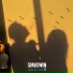 SMOGWIN