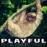 Alibi Music
