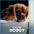 Calming for Dogs
