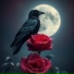 Cupid