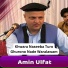 Amin Ulfat