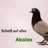 Akalex