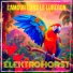 Elektrohorst