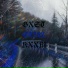 GXST RXXM