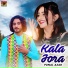 Punal Azad
