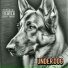 Lucik