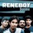 Reneboy