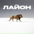 Экспайн