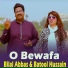 Bilal Abbas Khan, Batool Hussain