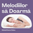 Relaxarea Nervilor
