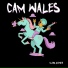Cam Wales