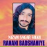 Nizam Sagar Shah