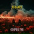 K-B-NET