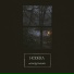 Hodera