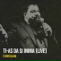 Florin Salam