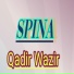 Qadir Wazir