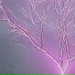 psychosis, inxwertg