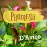 D'Avico