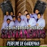 Los Internacionales Santaneros