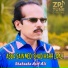 Shahzada Asif Ali Gilani
