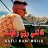Cheb Djalil Almani
