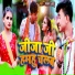 Pallav Ashu