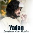 Zeeshan Khan Rokhri
