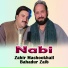 Zahir Mashookhail, Bahadur Zaib