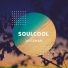 Soulcool