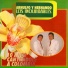Arnulfo Y Hernando Los Inolvidables