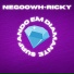 Negoowh, KrockRecords feat. Ricky AlveezzZ