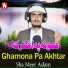 Sha Meer Aslam