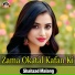 Shahzad Malang